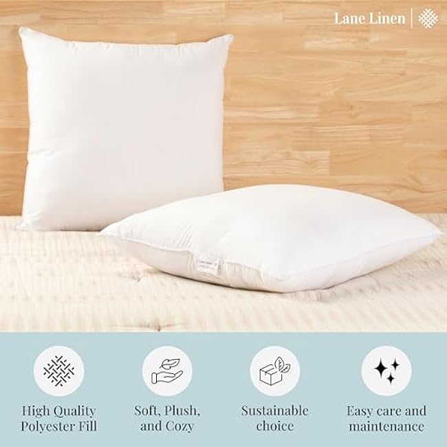 LANE LINEN 18 x 18 Throw Pillow Insert - Pack of 2 White, Down Alternative Pillow Inserts for Decorative Pillow Covers, Throw Pillows for Bed, Couch Pillows for Living Room