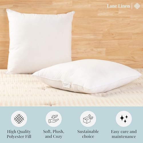 LANE LINEN 18 x 18 Throw Pillow Insert - Pack of 2 White, Down Alternative Pillow Inserts for Decorative Pillow Covers, Throw Pillows for Bed, Couch Pillows for Living Room