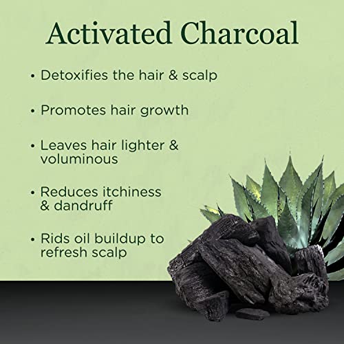 Saragan Activated Charcoal Shampoo - Natural Clarifying Shampoo W/Kertain, Argan Oil And Jojoba Oil - Sulfate Free Shampoo For Women And Men W/Oily Hair - Charcoal Detox Shampoo Hair Care (16 Oz) #TOP1