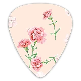 Pics de guitare Vector Square Floral Guitar Picks 12 Packs – Variété de médiators de guitare Plectres - Les Beatles, Paul McCartney, John Lennon, RIngo Starr, George Harrison