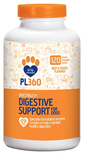PL360 Digestive Support, Chewable Supplement For Dogs Advanced Formula Supports Digestive Health Beef and Cheese Flours Natural and Safe Ingredients 120 Count