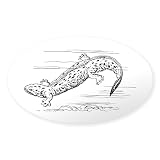 CafePress Hellbender Oval Bumper Sticker
