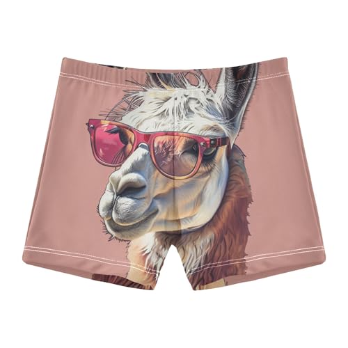 YYZZH Fashion Llama Boys Swim Trunks Kid's Swim Pants Swim Shorts Bathing Suit Swimsuit Swimwear Multicolor