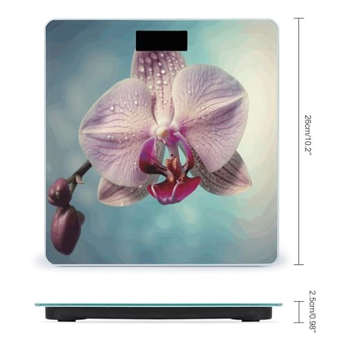 Báscula digital de baño con pantalla LED clara y vidrio templado miniatura 2
