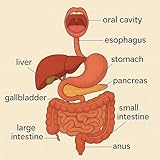  Duodenal Action Dance Style