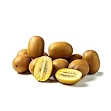 300 piezas semillas de kiwi, Comprar planta de interior de árboles frutales. planta de kiwi plantas en macetas con frutas frescas afuera resistentes árbol bonsái regalos de