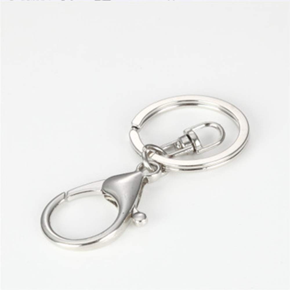 6 Pièces Mousqueton Métallique Avec Porte-Clés Anneau, Détachable