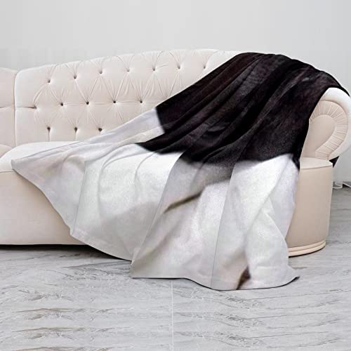 Couverture en peluche couvertures chaudes et douces microfibre chien noir