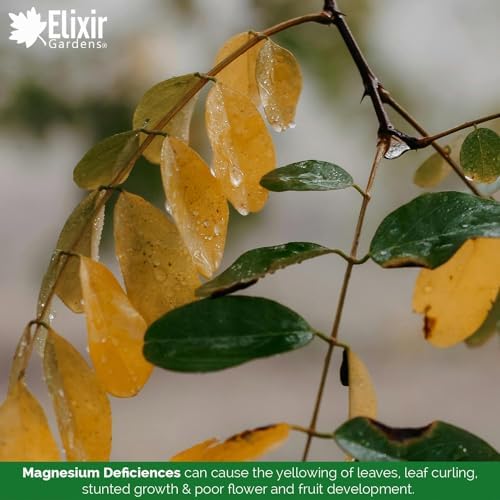 Elixir Gardens Magnesium Sulphate Epsom Salt | Ready To Use Gardening Fertiliser Plant Enhancer | resealable pouch | 6.25kg - View 5