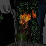 fegro großhandel mannheim  FELLAS TAPE (FEGRO BOOMIN) [Explicit]