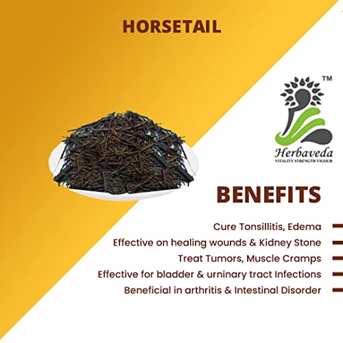 LEANBEING Herbaveda- Horsetail Leaves For Herbal Tea 200 Grams | Improves Bone Density, Cleanse Kidney, Good For Skin & Hair
