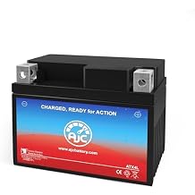 AJC Battery Compatible with Honda NQ50 Spree 50CC Scooter and Moped Battery 1984-1987
