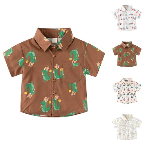 Toddler Boys Button Down Shirt Short Sleeve Hawaiian Beach Shirt Cute Tops for Kids Dinosaur Graphic Tees Summer Clothes3