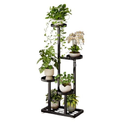 KDBT �t�����[�X�^���h �ϗt�A���I ���� �S�� ������� ���|���b�N ���� ��� ���ցE�Q�� �A�ؔ��� �ԑ� �v�����^�[�X�^���h �~�͒I (�z�C�[�����X,�u���b�N)