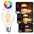 DAYBETTER 12 Pack A19 Vintage LED Edison Bulbs, 60W Equivalent Dimmable LED Bulbs, High Brightness 2700K Warm White, 800 Lumens, 8W E26 Standard Base, CRI80+, Clear Glass Filament Bulb for Living Room