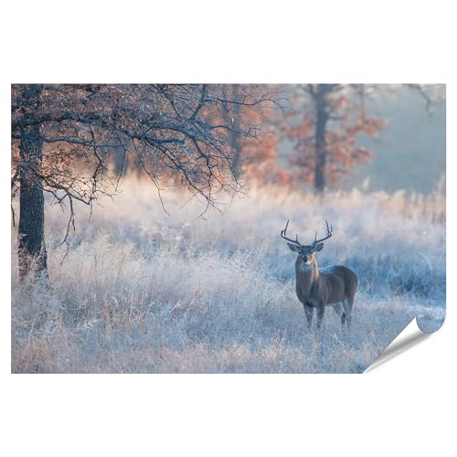 islandburner Póster XXL con bonito paisaje otoñal foto de cola blanca, imágenes de alta calidad, impresión fotográfica