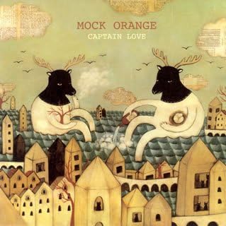 Mock Orange Captain Love