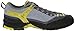 Salewa Men's MS Firetail EVO Approach Shoe
