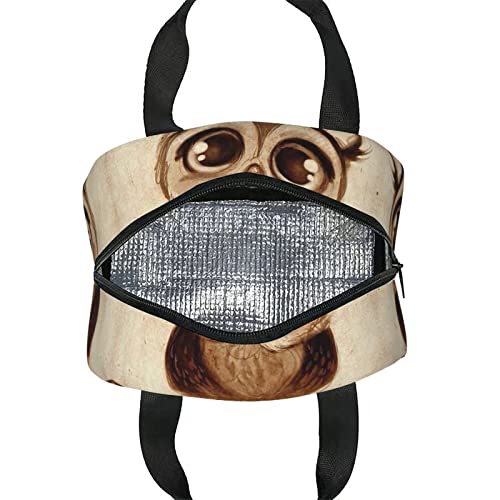 Kiuloam Cute Owl Vintage Reusable Insulated Lunch Bag For Boys Girls Men Women Lunch Box Tote Bag Food Container For Work Travel Picnic #TOP5