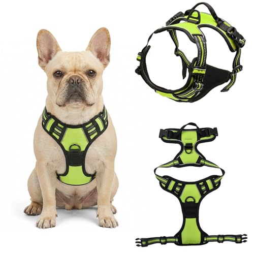 HTTDSLF Pettorina Cane Taglia Grande, Pettorina per Cani Anti Tiro Riflettente, Imbracatura Robusto e Regolabile per Addestramento Passeggiate (Verde, M)