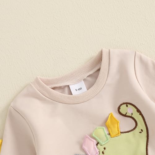 Toddler Baby Boy Dinosaur Outfits Funny Animal Sweatshirts Dinosaur Pants Set Infant Clothes 6 12 18 24Months 2T4