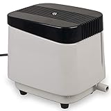 WAGNER GREEN Alles für den Gartenteich