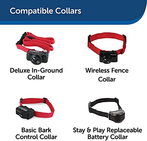 PetSafe 6 Volt Lithium Replacement Cell for PetSafe Collars, Pack of 2