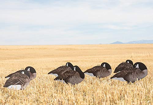 Dive Bomb Industries Dozen V2 Sleeper Canada Silhouette Decoys