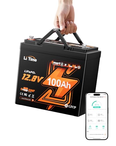 Image of Litime 12V 100Ah Xtra-Mini LiFePO4 Lithium Battery for RV, Marine, Boat