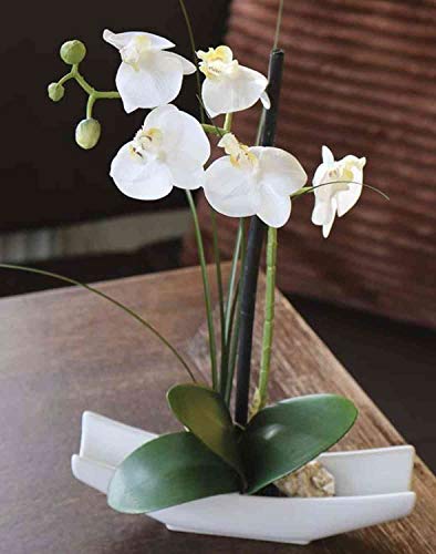 artplants.de Orquídea Phalaenopsis Falsa YANNIE, con Hierba, Cuenco de cerámica, Crema-Blanco, 30cm - Planta Artificial/Orquídea sintética