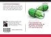 Produktbild Cannabidiol for neuroprotection in hypoxic-ischemic encephalopathy
