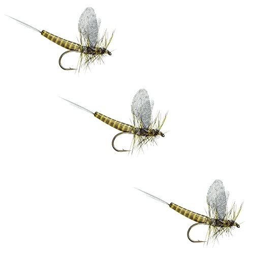Fly Fishing Flies by Colorado Fly Supply - Lucent Wing Green Drake Extended Body - Foam and Attractor Dry Flies - Green Drakes - Trout Flies and Lures - 3 Fly Pack