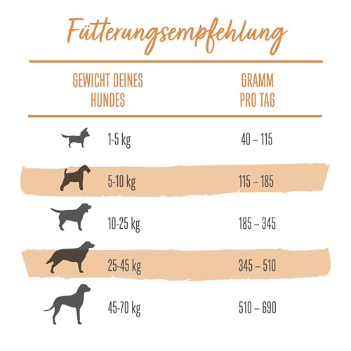 Beneful Original Hundefutter trocken, mit Huhn und Süßkartoffel, 6er Pack (6 x 1,4kg)