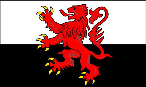 Drapeau Large Région Poitou Charentes résistant au vent pour mât extérieur