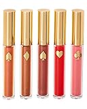 Estee Lauder 5 Of A Kind Pure Color Envy Gloss Collection