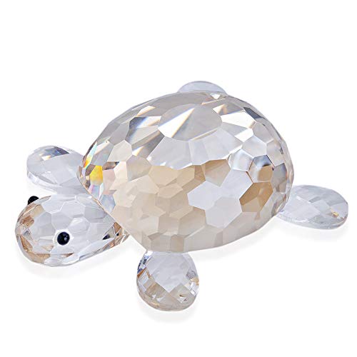 H&D HYALINE & DORA Tortue Cover