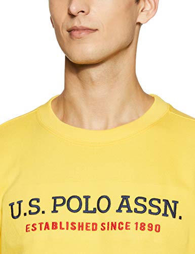 Image of U.S. POLO ASSN. Men Knitwear