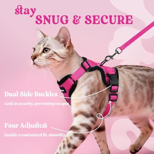Image of rabbitgoo Cat Harness and Leash Set, Escape Proof Vest, Rose Red | Soft Breathable Mesh, Easy Adjustable Fit, Snap Buckles, Sturdy Clip, Reflective Strips, for Kittens & Small Cats Walks, Xxs