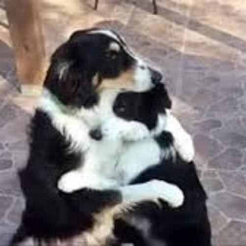 Couverture de Super Sunday on a Monday