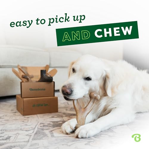 Image of Benebone Limited Edition Small 4 Pack with Pumpkin Wishbone Dog Chew Toys for Aggressive Chewers, Made in USA, 30lbs and Under