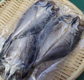 国産 あじ干物 3枚×40P 業務用 冷凍 アジ開き