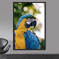 Framed Canvas Wall Art Single Bird Birds Expressive Farmhouse/Country Multicolor Photography Portrait Single - 16x24 inches