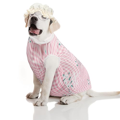Disfraz de Vieja para Perro 4 Piezas Sweetude miniatura 6