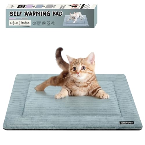 Top 10 Self Warming Cat Bed of 2022 Katynel