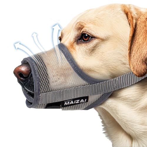 NyyGlykys �� ���� ���p�}�Y�� ���ʖi���h�~�O�b�Y �Ƌ�ݖh�~ �E���H���h�~ ���r�ߖh�~ ���p�}�Y�� �ʋC ���b�V�� �}�Y���K�[�h ���b�V�����̃}�X�N ���p���� ���^�� ���^�� ��^���p ���p�P���p�i (�O���[, M)