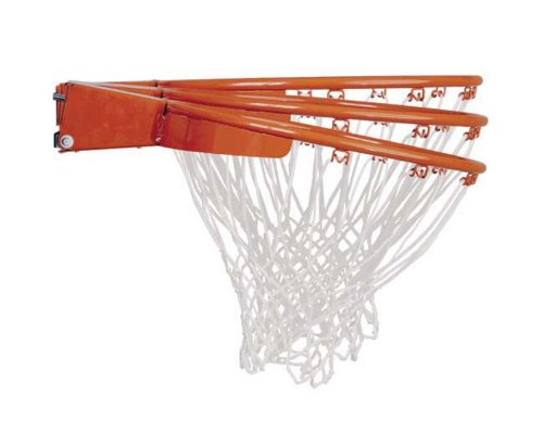 Image of Lifetime Adjustable Basketball Hoop (54-Inch Polycarbonate)