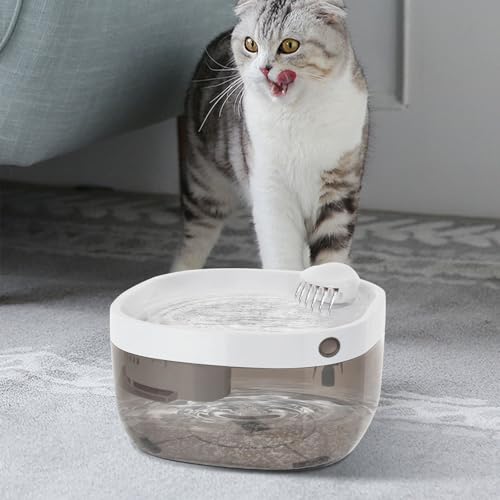 Fuente para gatos de 7L con filtro y dispensador de agua miniatura 4