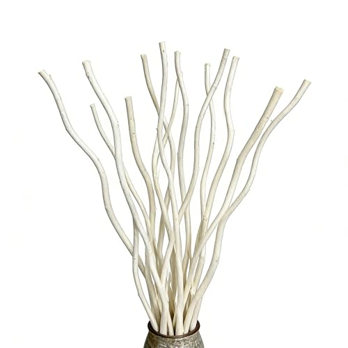 Dried Curly Willow Branches 15 Stems Dried Twigs Sticks 18-19 Decorative 100% Natural Birch Branches for Vases DIY Floral Arrangement Centerpiece Rustic Home Decor White