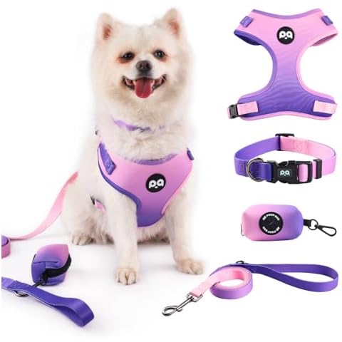 QQPETS Dog Harness Collar Leash with Poop Bag Holder 4 PCS Set, Adjustable No Pull Soft Mesh Padded Vest for Small Medium Large Pet Puppy Outdoor Walking (Gradient Purple, XS (Chest 12.1”-18.9”)) Cover
