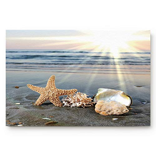 ALAGO Sea Starfish Shells Coastal Scents Doormats Entrance Front Door Rug Outdoors/Indoor/Bathroom/Kitchen/Bedroom/Entryway Floor MatsNon-Slip Rubber,Low-Profile 18x30